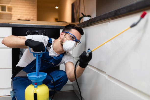 Wasp Removal Services in Mays Chapel, MD