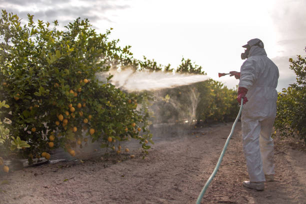 Best Best Pest Control Near Me  in Mays Chapel, MD