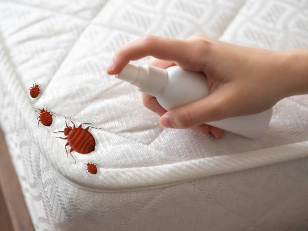 Best Best Pest Control Companies  in Mays Chapel, MD