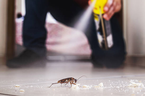 Best Insect Control  in Mays Chapel, MD