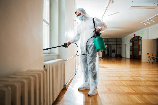 Best Termite Control Services  in Mays Chapel, MD