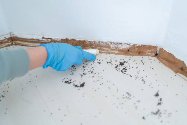 Pest Control Cost in Mays Chapel, MD